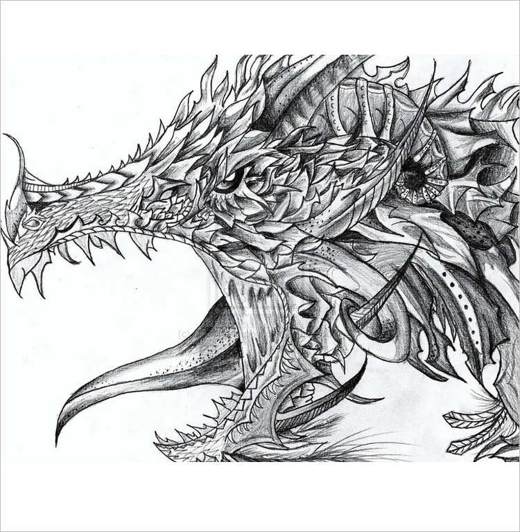 31+ Dragon Drawing Designs Free Download Creative Template