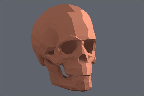Skull 3D Model Design