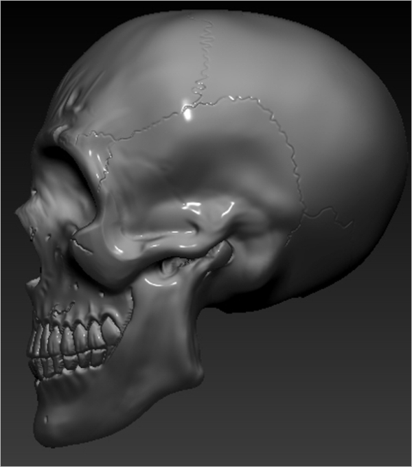 Special Skull 3D Design